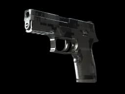 P250 | Metallic DDPAT CS2 skin