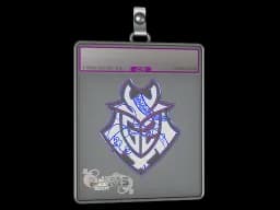 Sticker Slab | G2 Esports (Holo) | Paris 2023