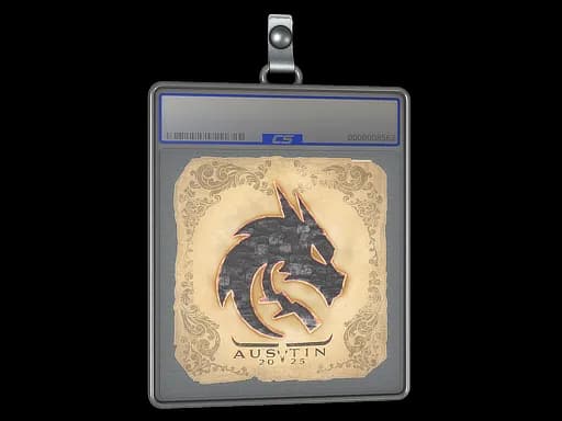 Sticker Slab | Team Spirit | Austin 2025