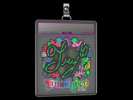 Sticker Slab | TRY (Holo) | Budapest 2025