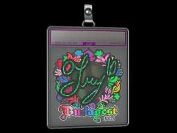 Sticker Slab | TRY (Holo) | Budapest 2025