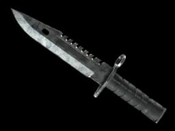 ★ StatTrak™ M9 Bayonet | Stained (Well-Worn)