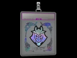 Sticker Slab | G2 Esports (Holo) | Austin 2025