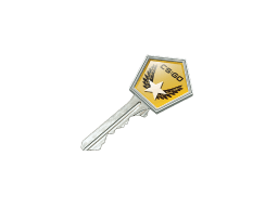 Winter Offensive Case Key