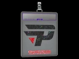 Sticker Slab | paiN Gaming (Glitter) | Copenhagen 2024