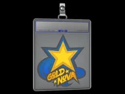 Sticker Slab | Gold Nova