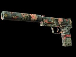 USP-S | Ancient Visions (Minimal Wear)