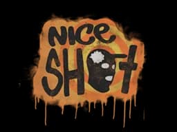 Nice Shot - CS2 Skin Prices