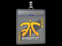 Sticker Slab | Fnatic | Katowice 2015
