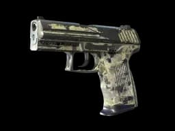 P2000 - CS2 Skin Prices