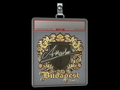 Sticker Slab | Attacker (Gold) | Budapest 2025