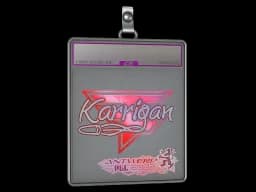 Sticker Slab | karrigan (Holo) | Antwerp 2022