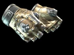 ★ Bloodhound Gloves | Bronzed (Minimal Wear)