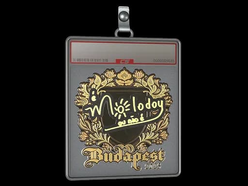 Sticker Slab | molodoy (Gold) | Budapest 2025