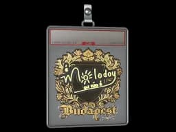 Sticker Slab | molodoy (Gold) | Budapest 2025