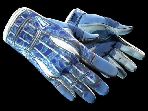 ★ Sport Gloves | Amphibious (Field-Tested)