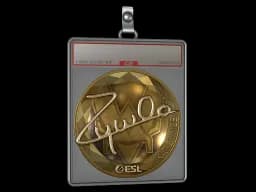 Sticker Slab | ZywOo (Gold) | Katowice 2019