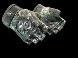 ★ Broken Fang Gloves | Unhinged (Field-Tested)