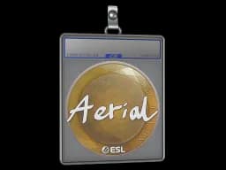 Sticker Slab | Aerial | Katowice 2019