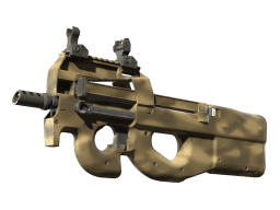 P90 | Sand Spray (Factory New)
