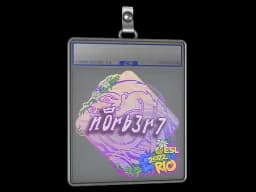 Sticker Slab | n0rb3r7 | Rio 2022