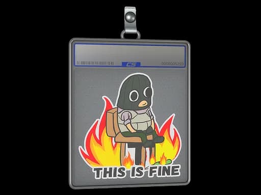 Sticker Slab | This Is Fine (T)