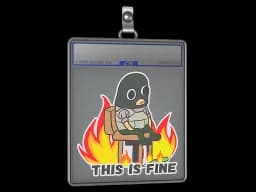 Sticker Slab | This Is Fine (T)