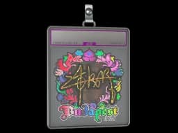 Sticker Slab | z4KR (Holo) | Budapest 2025