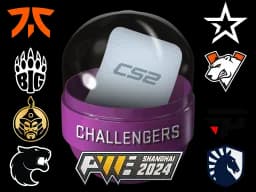 Shanghai 2024 Challengers Sticker Capsule