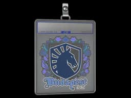 Sticker Slab | Team Liquid | Budapest 2025