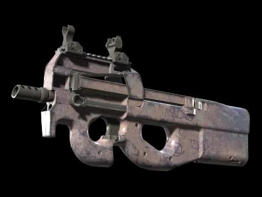 P90 | Wash me (Well-Worn)