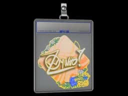 Sticker Slab | ZywOo | Rio 2022