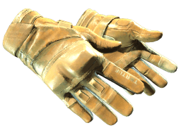 ★ Moto Gloves | Transport (Field-Tested)