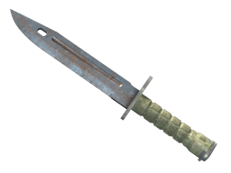 ★ Bayonet | Rust Coat (Well-Worn)