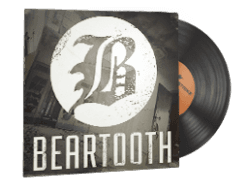 StatTrak™ Music Kit | Beartooth, Disgusting