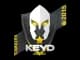 Sticker | Keyd Stars | Katowice 2015 CS2 skin