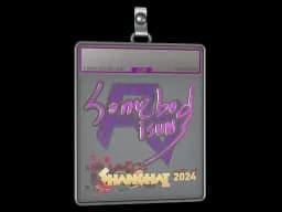 Sticker Slab | somebody (Holo) | Shanghai 2024