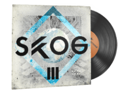 StatTrak™ Music Kit | Skog, III-Arena
