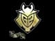Sticker | G2 Esports (Gold) | Paris 2023 CS2 skin
