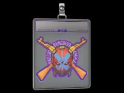 Sticker Slab | Master Guardian Elite (Holo)