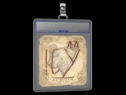 Sticker Slab | ICY | Austin 2025