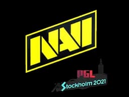 Natus Vincere | Stockholm 2021 - CS2 Skin Prices
