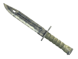 ★ Bayonet | Stained (Battle-Scarred)