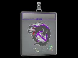 Sticker Slab | Outsiders (Glitter) | Antwerp 2022