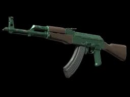 AK-47 | Wintergreen (Well-Worn)