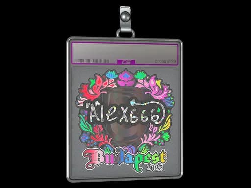 Sticker Slab | alex666 (Holo) | Budapest 2025