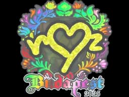 Sticker | ropz (Holo) | Budapest 2025