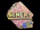 Sticker | SENER1 | Rio 2022 CS2 skin