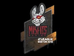 Misfits Gaming  Boston 2018 - CS2 Skin Prices