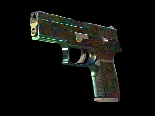 P250 | Visions (Well-Worn)